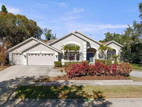 979 Ridgewood Ter, Tarpon Springs, FL 34689