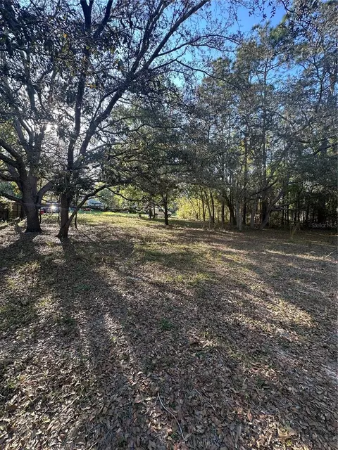 91 St, Summerfield, FL 34491