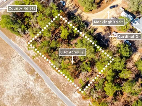 103 Cardinal Dr, Interlachen, FL 32148