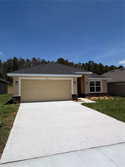 251 Verny Grove Ln, Leesburg, FL 34748