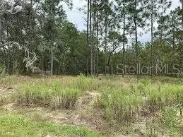 000 NW Ridgewood Rd, Dunnellon, FL 34431
