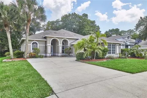 2835 Branch Creek Ave, Clearwater, FL 33760