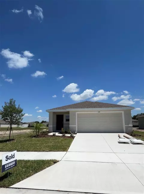 1118 Arrowhead Vine Ct, Plant City, FL 33566