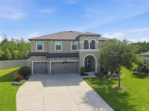 8776 Birchleaf Ct, Land O Lakes, FL 34637