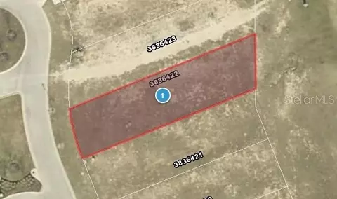 16326 Ravenna Ct, Bella Collina, FL 34756