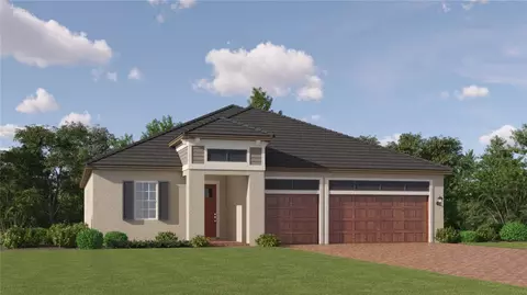 9183 Minnow Ray Dr, Land O Lakes, FL 34638