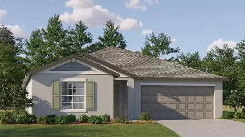 22460 Blazing Star Run, Land O Lakes, FL 34637