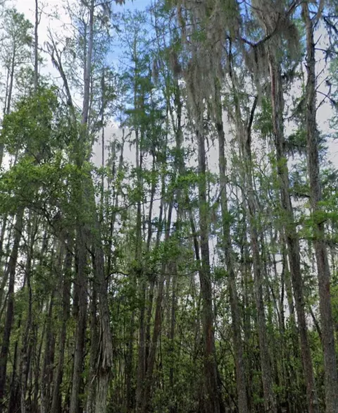 Undisclosed, Polk City, FL 33868