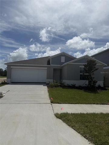 10102 Longhorn Cattle Ln, Wesley Chapel, FL 33545