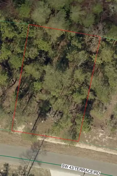 Sw 43 Terrace, Ocala, FL 34473