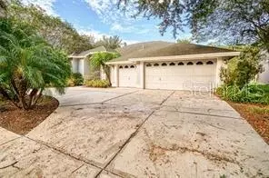 19106 Mandarin Grove Pl, Tampa, FL 33647