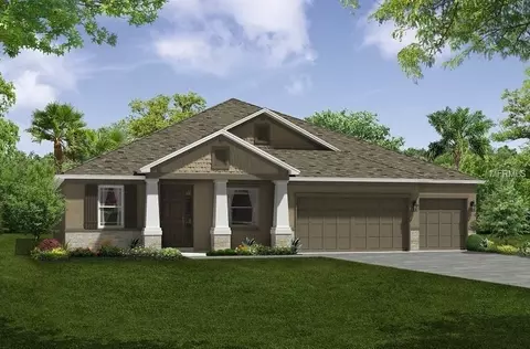 13618 Tonya Anne Dr, Riverview, FL 33579 photo 1