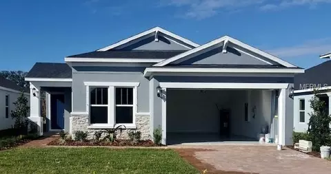 10409 Alcon Blue Dr, Riverview, FL 33578 photo 1