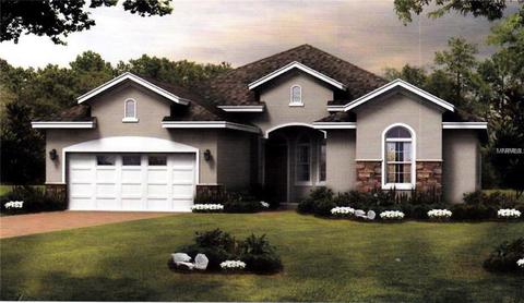 16145 St Clair St, Clermont, FL 34714 photo 1