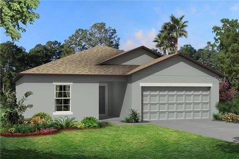 12103 Criollo Rd, Spring Hill, FL 34610 photo 1