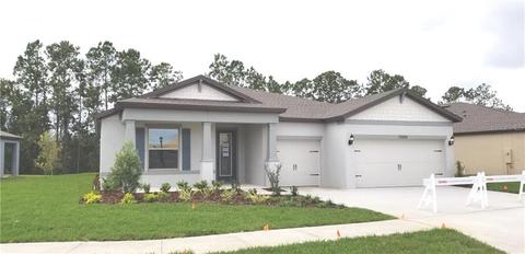12605 Palapa Loop, Spring Hill, FL 34610 photo 1