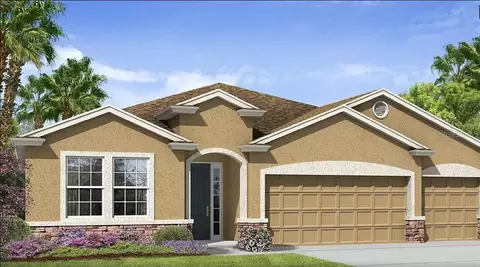 5024 Jagged Cloud Dr, Wimauma, FL 33598 photo 1