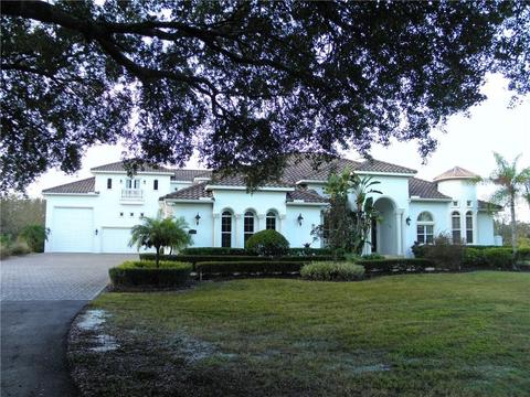 7234 Lithia Pinecrest Rd, Lithia, FL 33547 photo 1