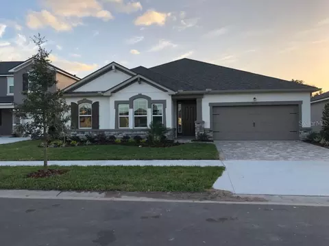11533 Cedar Valley Dr, Riverview, FL 33569 photo 1
