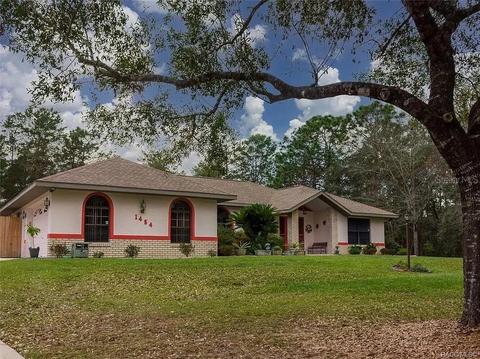 1454 E Tradewind Dr, Hernando, FL 34442 photo 1