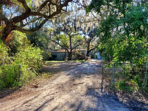 11508 Raulerson Rd, Riverview, FL 33569 photo 1
