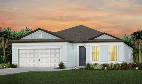 13013 Brookside Moss Dr, Riverview, FL 33579 photo 1