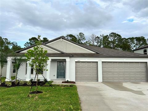 13425 Willow Bluestar Loop, Riverview, FL 33579 photo 1