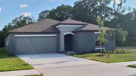 10331 Alder Green Dr, Riverview, FL 33578 photo 1