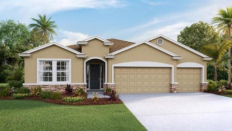 12392 Shining Willow St, Riverview, FL 33579 photo 1