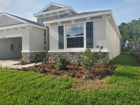 13089 Brookside Moss Dr, Riverview, FL 33579 photo 1