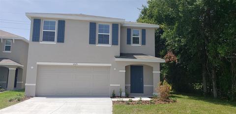 12125 Downy Birch Dr, Riverview, FL 33569 photo 1