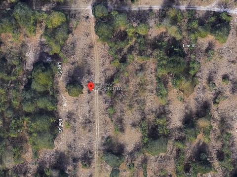 703 Lee St, Bartow, FL 33830 photo 1