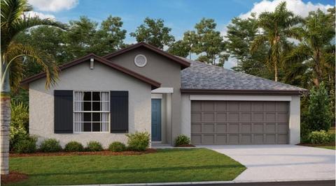 12785 Maple Bonsai Dr, Riverview, FL 33579 photo 1