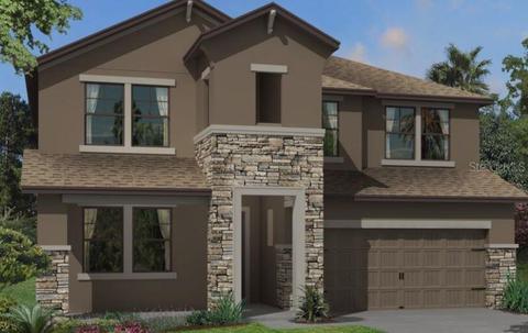 12437 Rosepine Pl, Riverview, FL 33579 photo 1