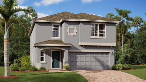 2806 Muller Oak Loop, Ocoee, FL 34761 photo 1
