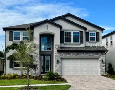 12527 Shining Willow St, Riverview, FL 33579 photo 1