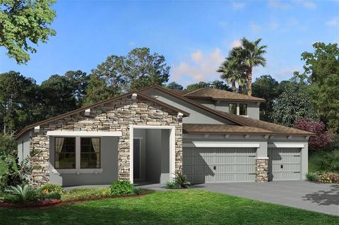12975 Willow Grove Dr, Riverview, FL 33579 photo 1