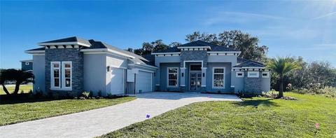 518 Two Lakes Ln, Eustis, FL 32726 photo 1