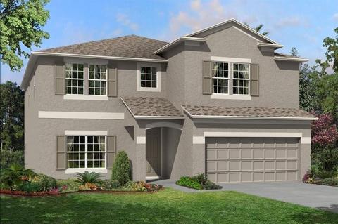 12537 Rosepine Pl, Riverview, FL 33579 photo 1