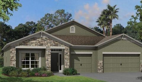 12328 Shining Willow St, Riverview, FL 33579 photo 1