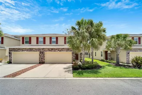 13205 Canopy Creek Dr, Tampa, FL 33625