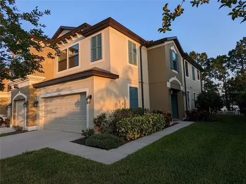11412 Crowned Sparrow Ln, Tampa, FL 33626