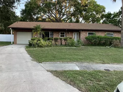 8406 S Flintrock Ct, Tampa, FL 33615