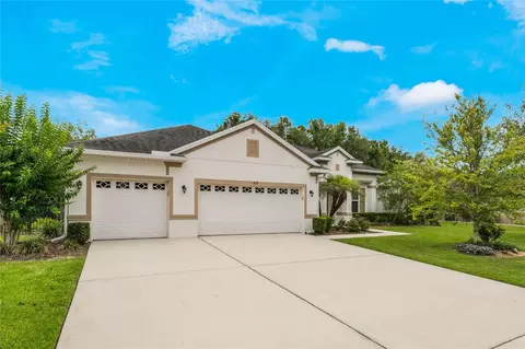 709 Felt Fern Ln, Deland, FL 32720