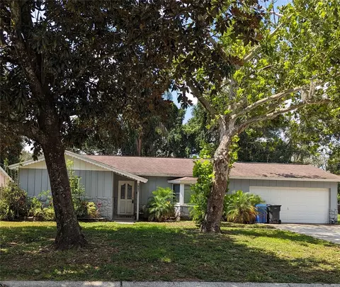 2812 Harder Oaks Ave, Valrico, FL 33594
