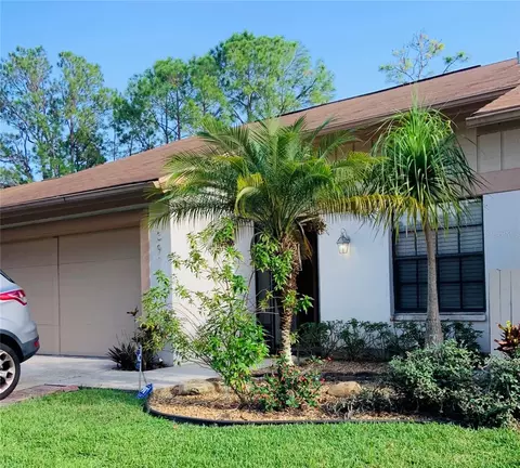 Undisclosed, Tampa, FL 33624