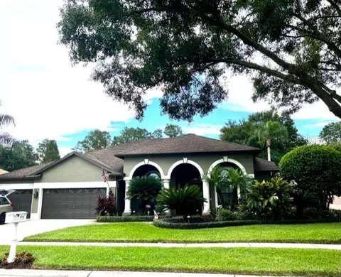 3712 Swans Landing Dr, Land O Lakes, FL 34639