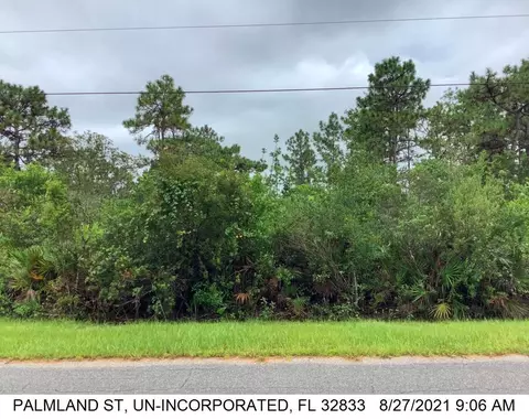 19324 Palmland St, Orlando, FL 32833