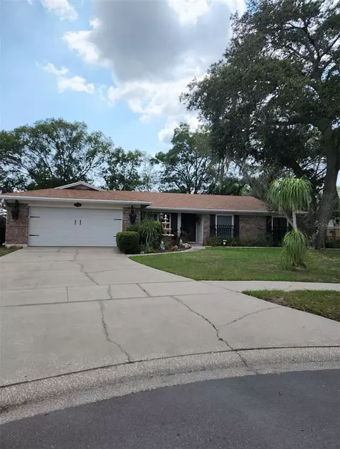 15316 Stonecreek Ln, Tampa, FL 33613