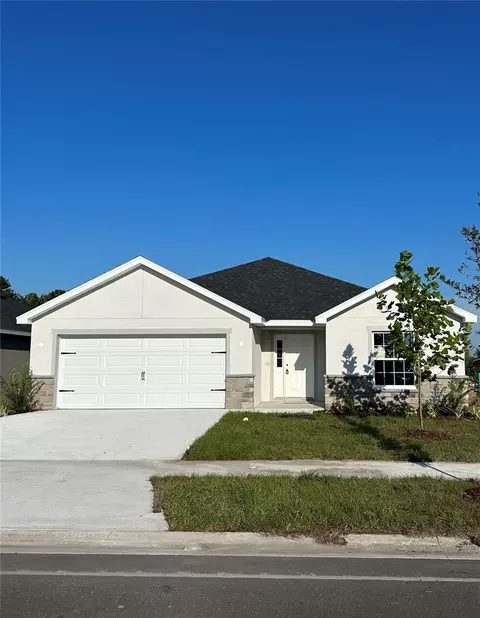12314 Terrace Bluff St, Riverview, FL 33579